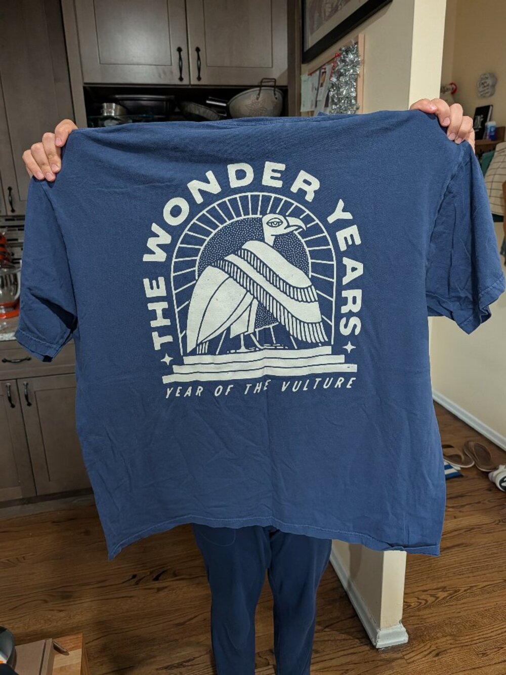 Pop Punk / Band The Wonder Years - Year of the Vulture - T-Shirt